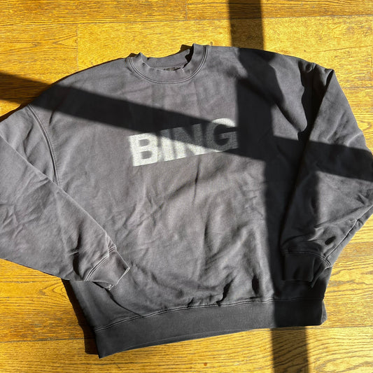 סווטישירט אפור של Anine Bing